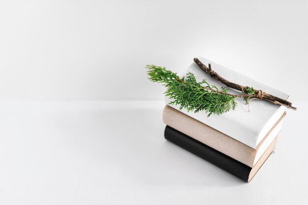 Fir twig on stack of books over white background