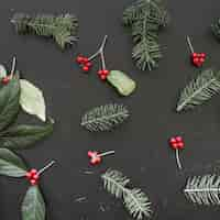 Free photo fir twigs, berries and leaves