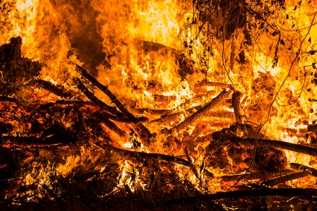 山火事 画像 無料のベクター ストックフォト Psd 山火事 画像 無料のベクター ストックフォト Psd
