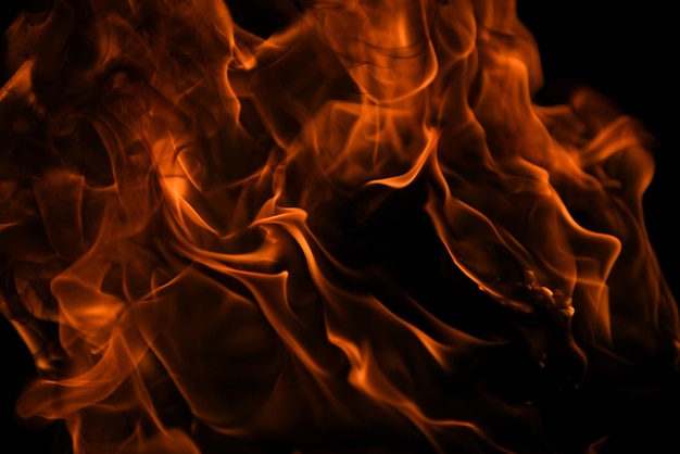 Fire flame burn lights on a black background