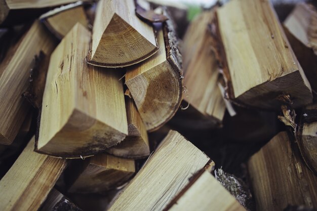 Firewood prepared for winter