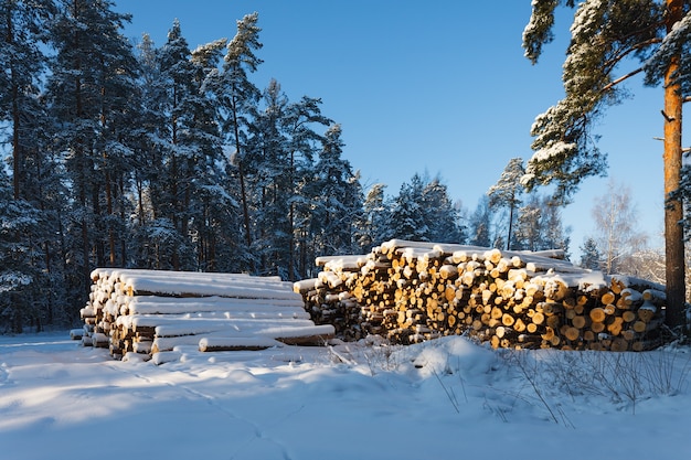 Дрова под снегом в зимнем лесу Premium Фотографии