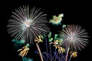 Free photo firework on blank night sky, show for celebration