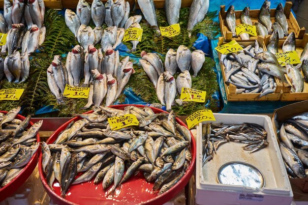 イスタンブールのカウンターフィッシュショップで魚