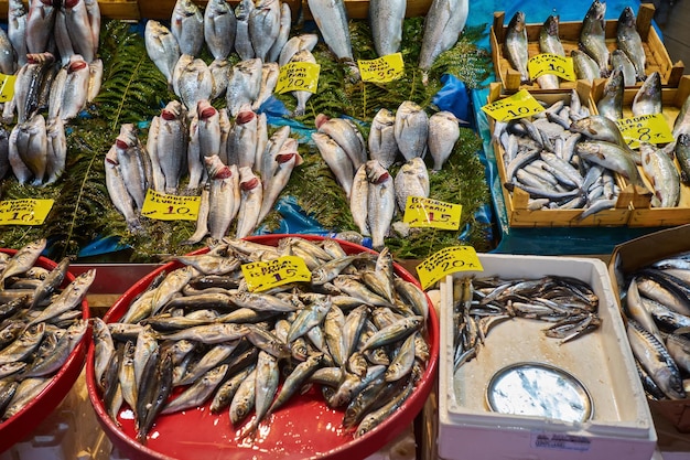 イスタンブールのカウンターフィッシュショップで魚