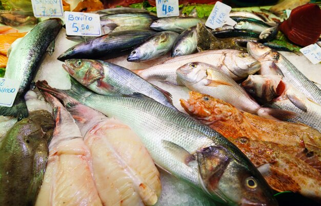 スペイン市場のカウンターで魚を釣る