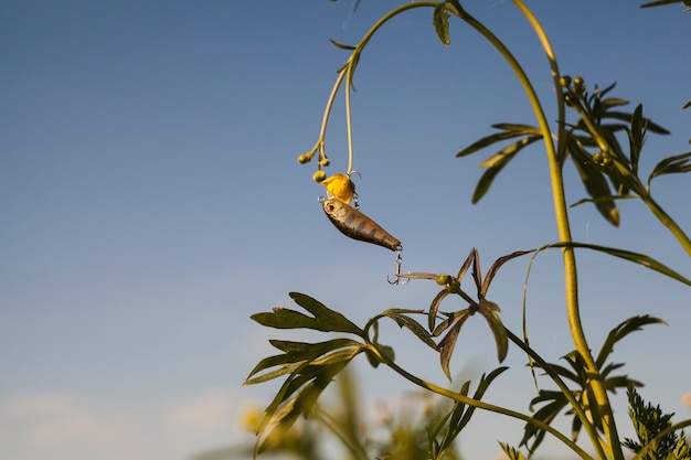 Fishing lure hanging on yellow flower plant against sky