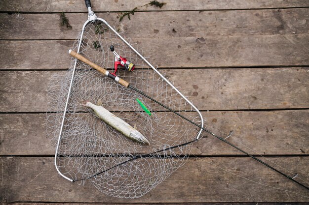 Fishing rod and fresh water fish in the fishing net