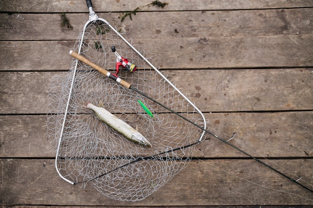 Удочка и рыба пресной воды в рыболовной сети