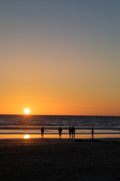 Five person walking on seashore during golden hour