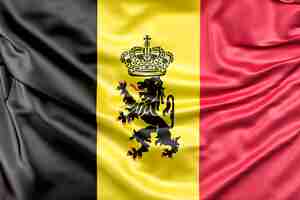 Free photo flag of belgium with ensign