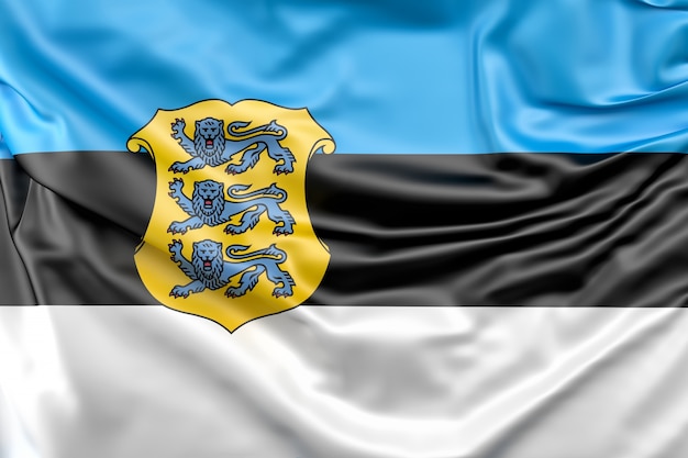 Free photo flag of estonia with coat of arms