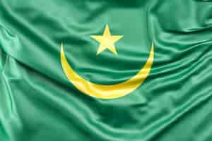 Free photo flag of mauritania