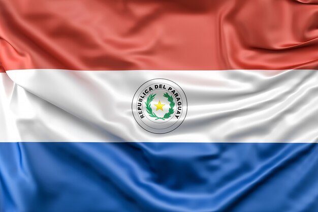 파라과이의 국기