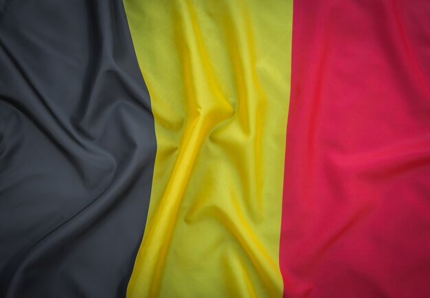 벨기에의 국기.