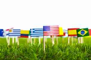 Free photo flags of different countries punctured on a lawn