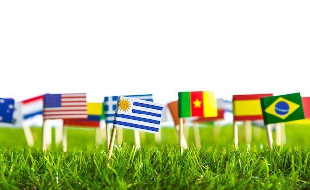 Flags of different countries punctured on a lawn