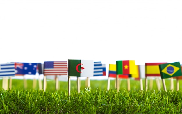 Flags of different countries punctured on a lawn