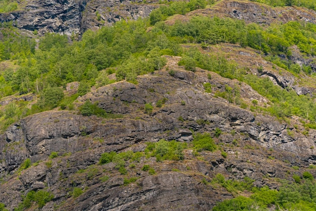 無料写真 ノルウェー フラム山 2023年6月6日