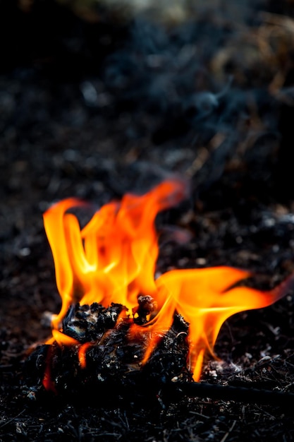 Flame fire movement Premium Photo