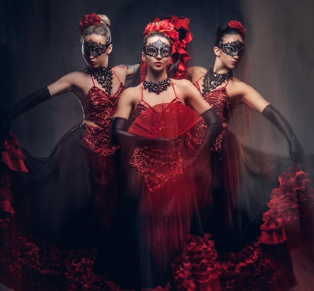 Flamenco spanish seductive dancers wearing traditional costume. Isolated on a dark background.