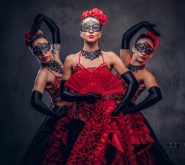 Flamenco spanish seductive dancers wearing traditional costume. isolated on a dark background.