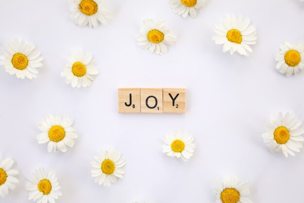 Flat image featuring the text joy in wooden letters on a white surface surrounded by daisies