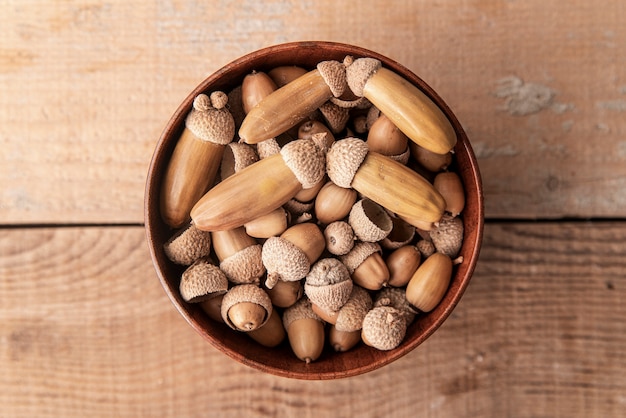 Flat lay of acorns in bowl