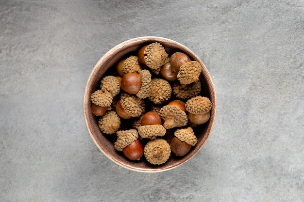 Flat lay acorns still life