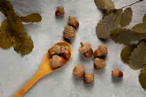 Free photo flat lay acorns still life