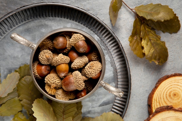 Free photo flat lay acorns still life