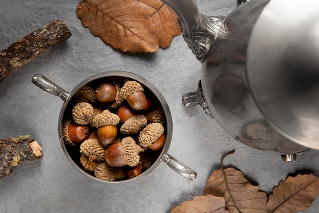 Flat lay acorns still life