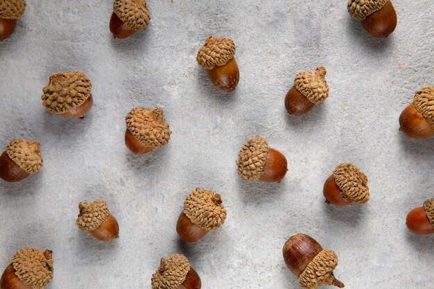 Flat lay acorns still life