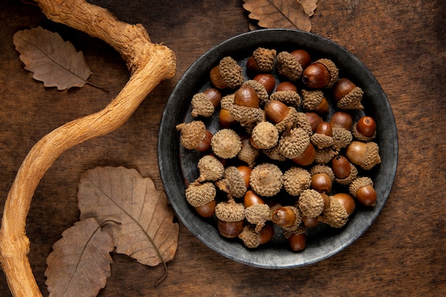 Flat lay acorns still life