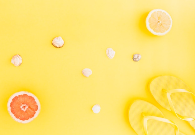 Flat lay of aquatic shells and fruits