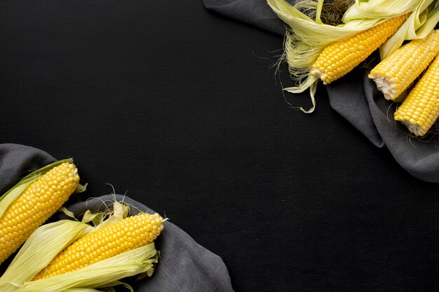 Flat lay arrangement of delicious corn with copy space