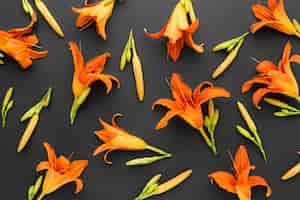 Free photo flat lay arrangement of orange lilies