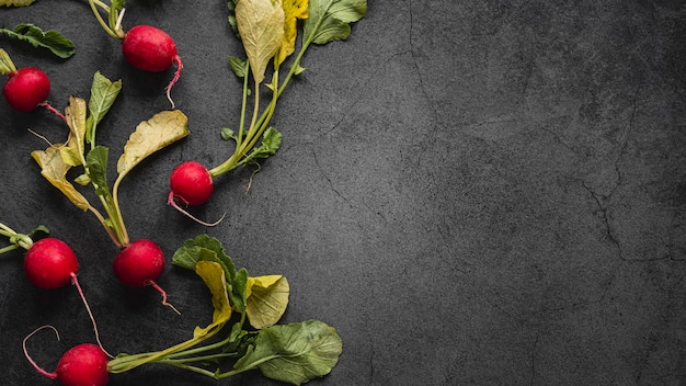 Flat lay arrangement of radishes with leaves copy space