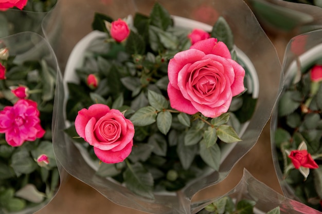 Flat lay arrangement with pink roses