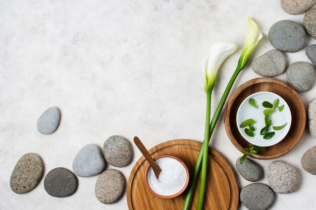 Flat lay arrangement with spa stones and plant