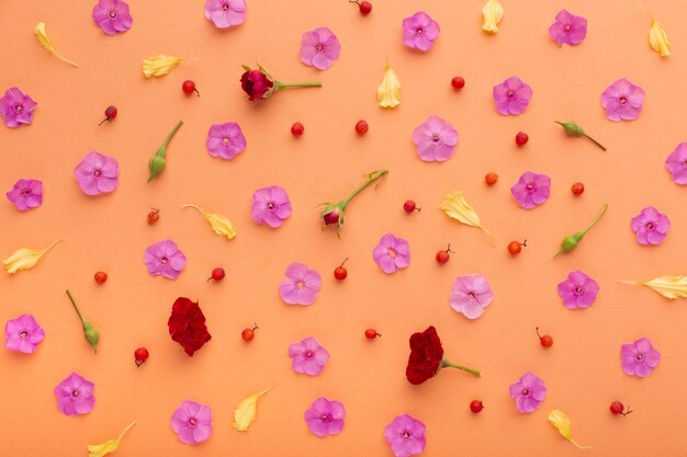 Flat lay assortment of flowers