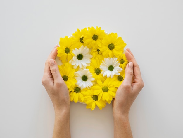 Flat lay assortment of optimism concept with flowers