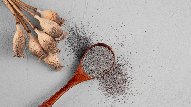 Flat lay assortment with spoon full of seeds