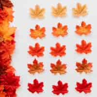 Free photo flat lay of autumn color leaves