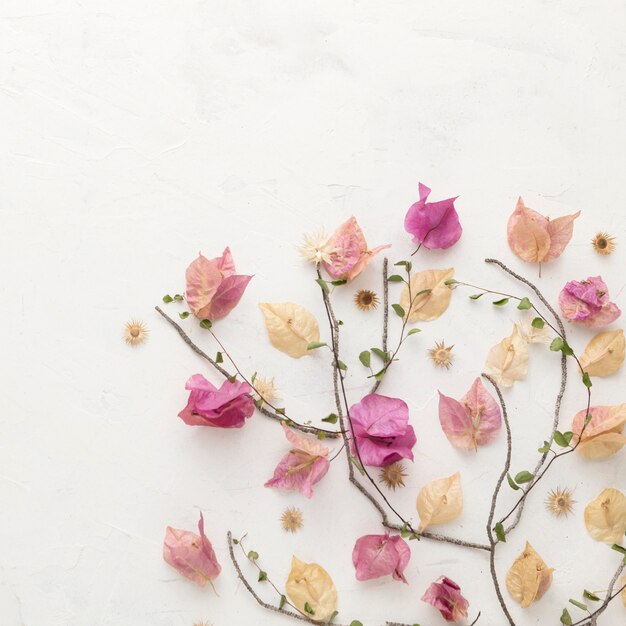 Flat lay of autumn flowers with copy space