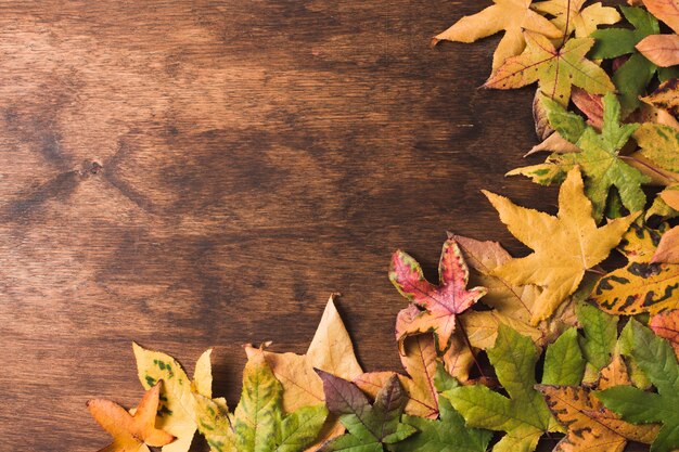 Flat  lay autumn leaves copy space