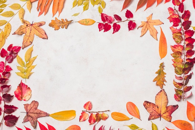 Free photo flat  lay autumn leaves double frame