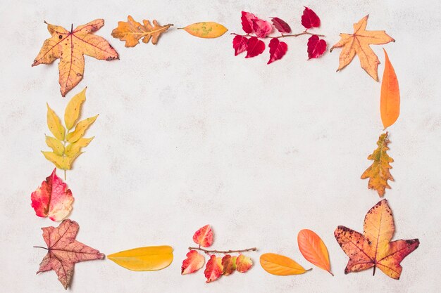 Flat  lay autumn leaves frame