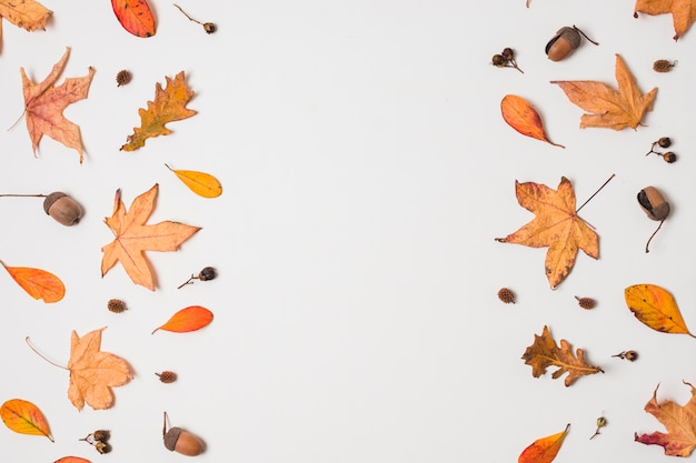 Free photo flat  lay autumn leaves frame