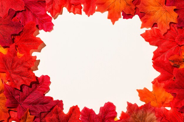 Flat lay of autumn leaves frame